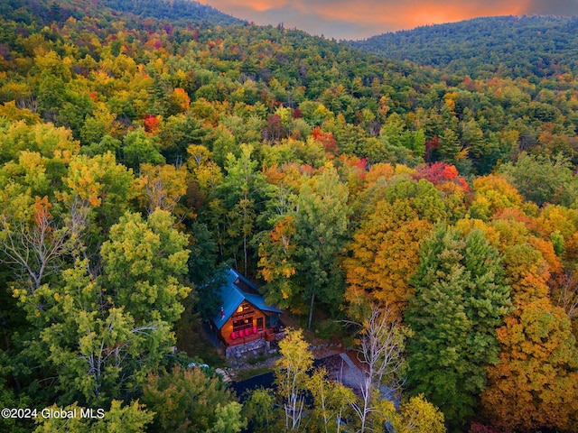 birds eye view of property with a forest view