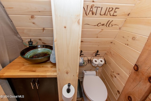 bathroom with wooden walls, toilet, and vanity