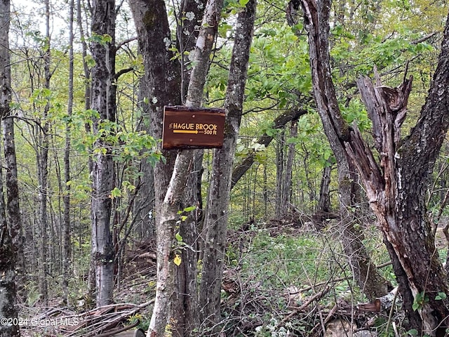 exterior details featuring a forest view