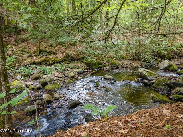 view of nature featuring a forest view