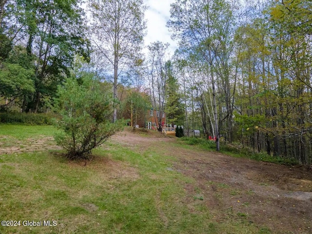 view of yard with dirt driveway