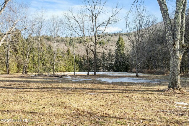 view of yard with a forest view