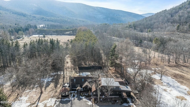 view of mountain feature with a forest view