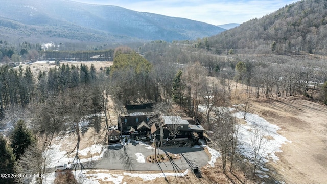 view of mountain feature with a wooded view