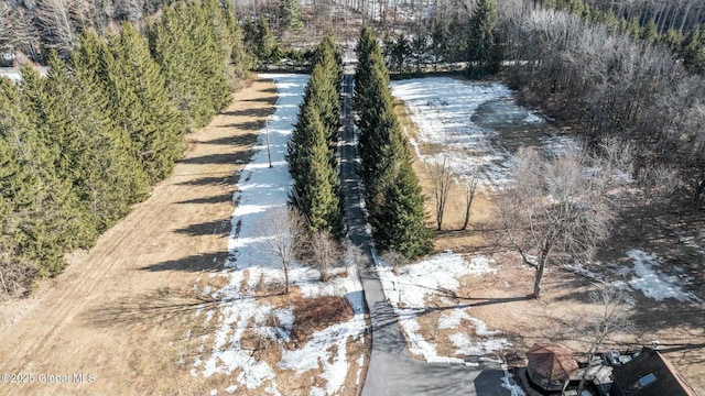 bird's eye view with a view of trees