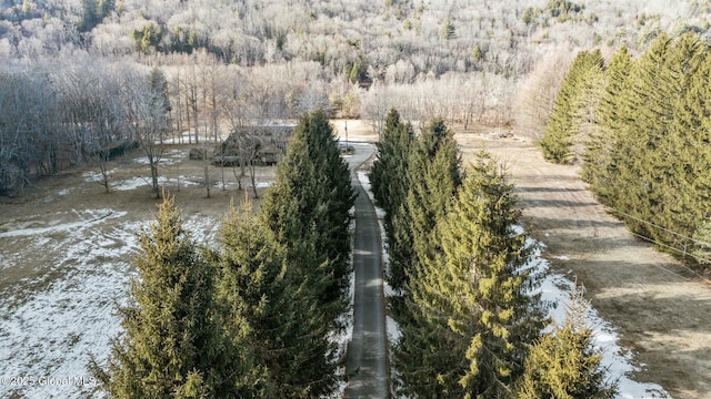 birds eye view of property with a wooded view