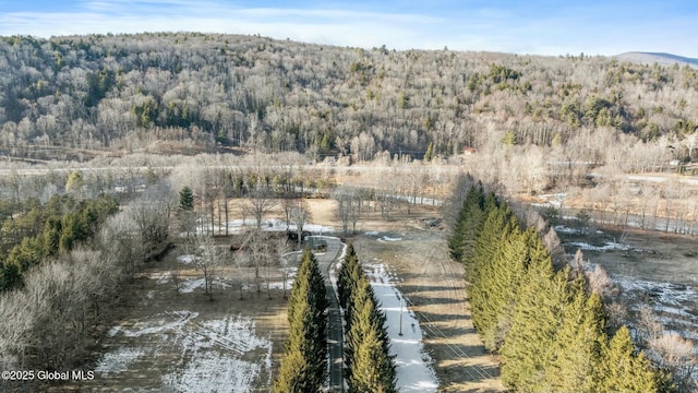 bird's eye view featuring a view of trees