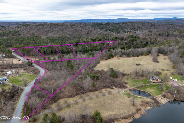 L4 County Route 21, Hampton, NY 12887