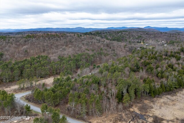 L4 County Route 21, Hampton, NY 12887