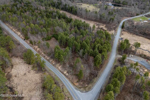 L4 County Route 21, Hampton, NY 12887