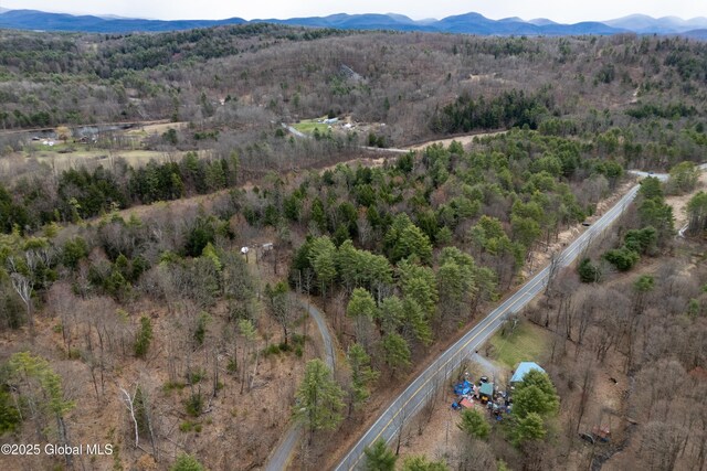 L4 County Route 21, Hampton, NY 12887