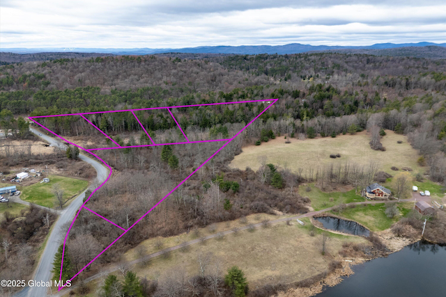 L6 County Route 21, Hampton, NY 12887