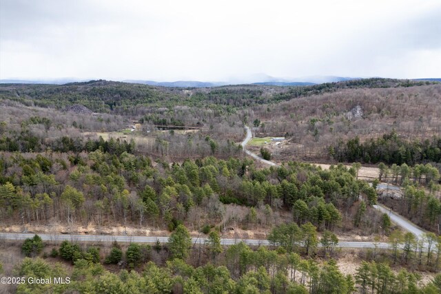 L6 County Route 21, Hampton, NY 12887