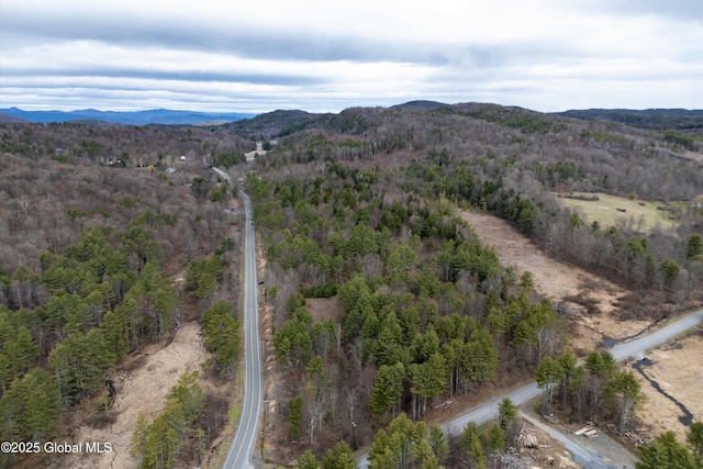 L6 County Route 21, Hampton, NY 12887