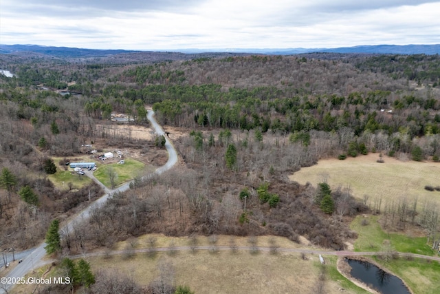 L6 County Route 21, Hampton, NY 12887