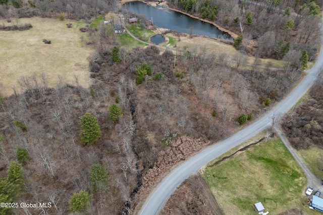 L6 County Route 21, Hampton, NY 12887