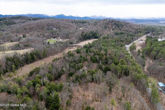 L6 County Route 21, Hampton, NY 12887