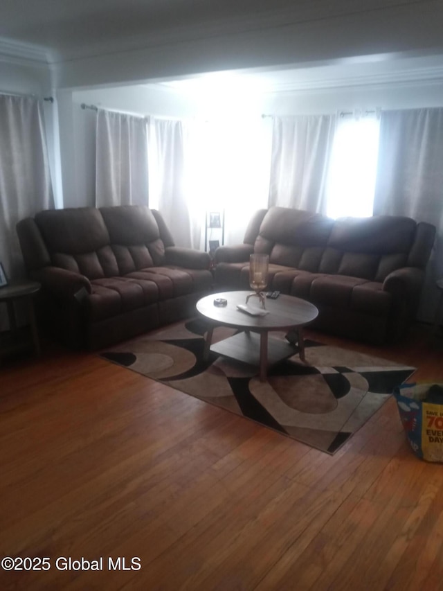 living area featuring wood finished floors