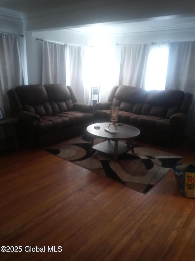 living area featuring hardwood / wood-style floors