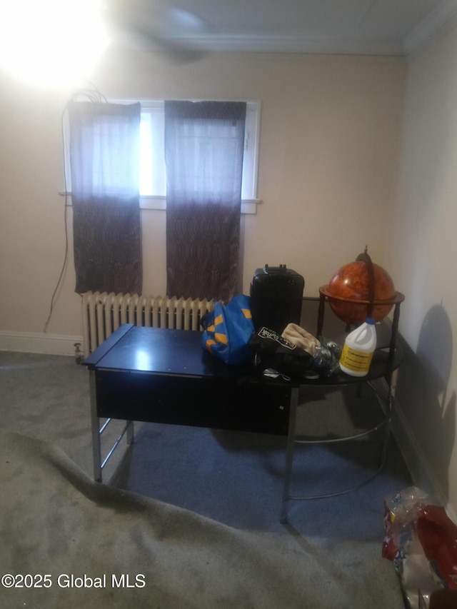 playroom with baseboards, carpet floors, radiator, and crown molding