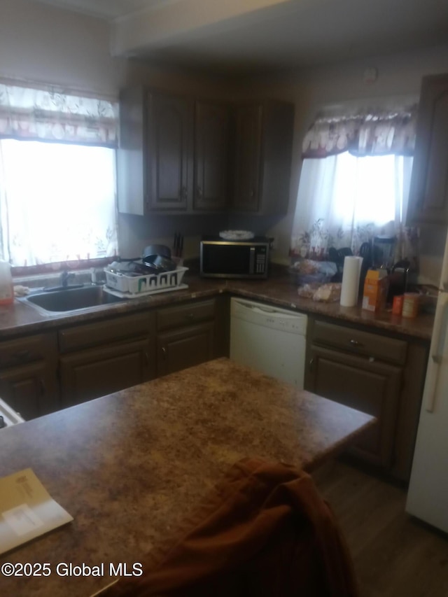 kitchen with white dishwasher and a sink