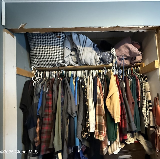 view of closet