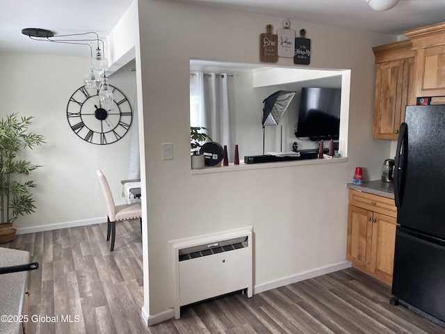 kitchen featuring radiator, baseboards, dark wood-type flooring, and freestanding refrigerator