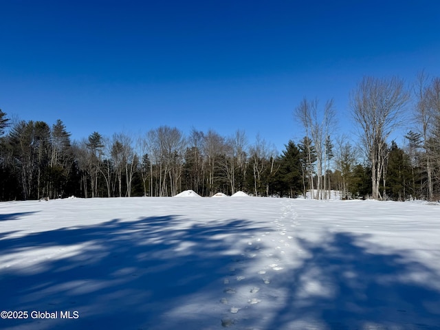 L26.111 Gabriel Rd, Corinth NY, 12822 land for sale