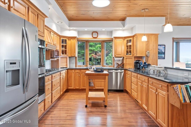536 E Shore Dr, Horicon, NY 12808 - kitchen featuring appliances with stainless steel finishes, wooden ceiling, healthy amount of natural light, a peninsula, and light wood-style flooring