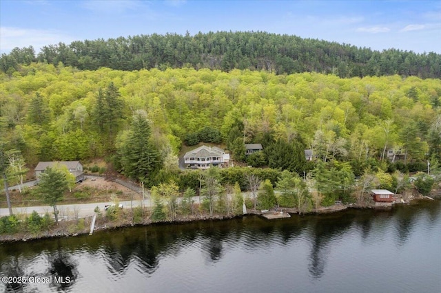 536 E Shore Dr, Horicon, NY 12808 - view from above of property with a forest and a large body of water