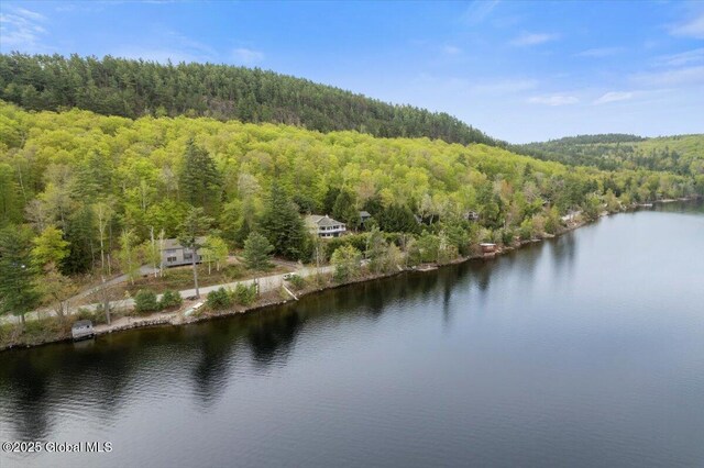 536 E Shore Dr, Horicon, NY 12808 - drone / aerial view of a heavily wooded area and a large body of water