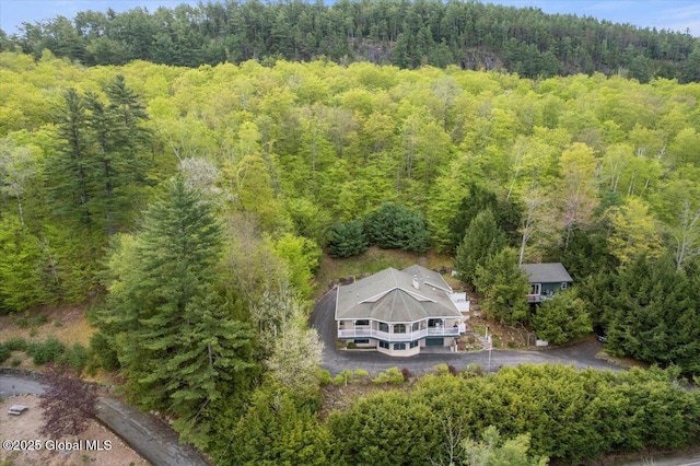536 E Shore Dr, Horicon, NY 12808 - view from above of property featuring a heavily wooded area