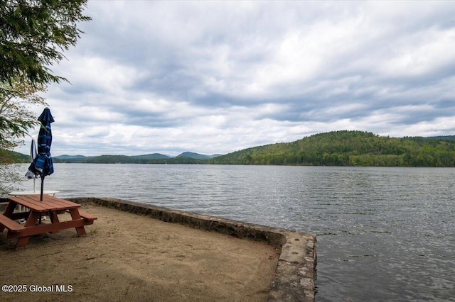 536 E Shore Dr, Horicon, NY 12808 - water view featuring a forest