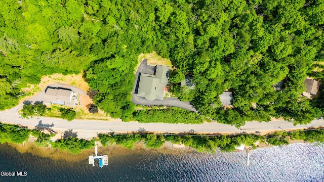 536 E Shore Dr, Horicon, NY 12808 - photo 62