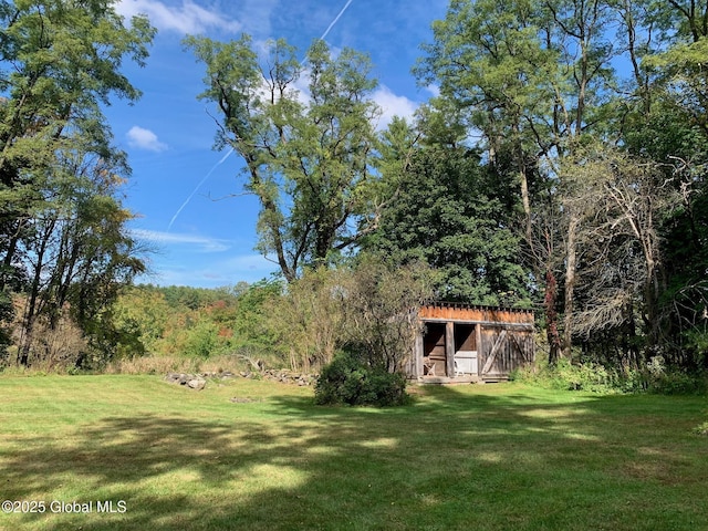 view of yard featuring a forest view and an outdoor structure