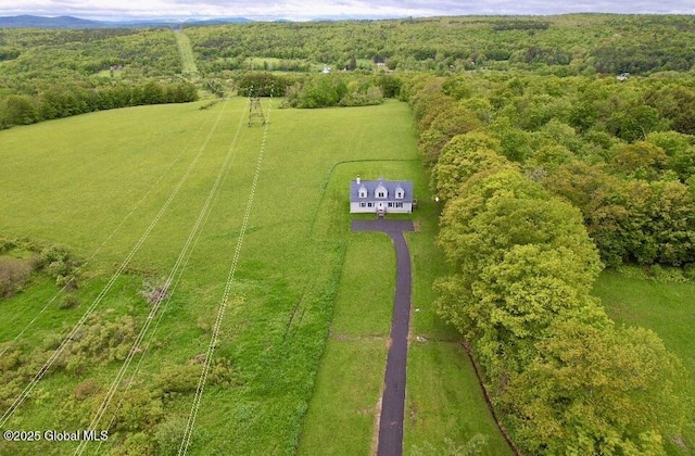 333 Ridge Rd, Broome, NY 12122 - overview of rural landscape featuring a heavily wooded area