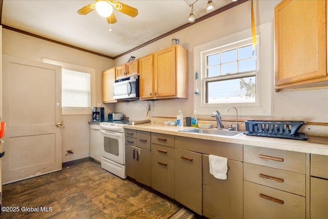 kitchen featuring stainless steel microwave, ornamental molding, light countertops, white electric range, and a sink