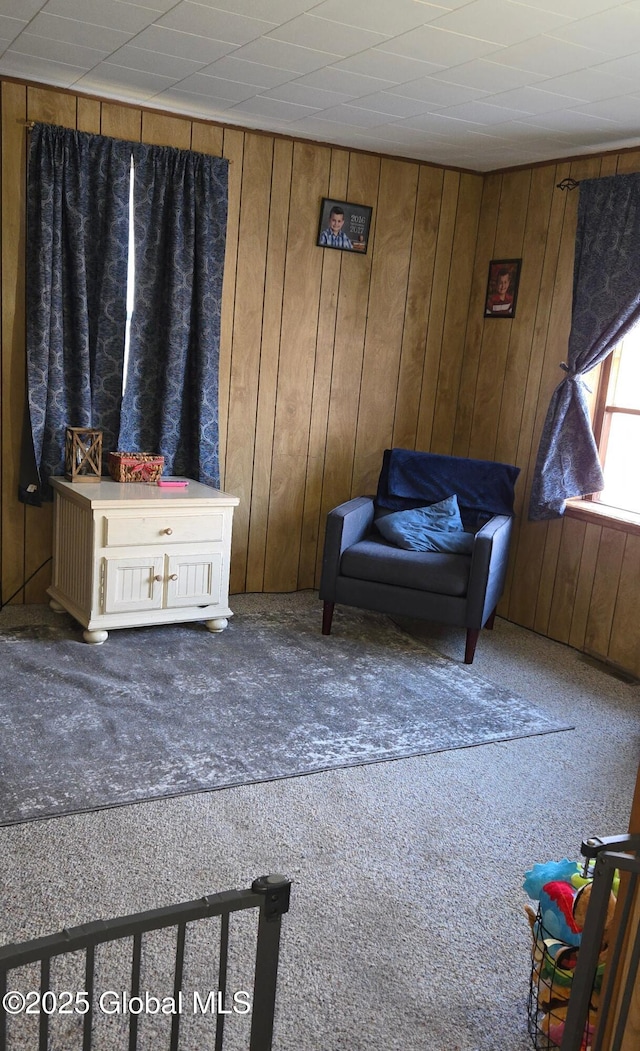 interior space featuring carpet floors and wood walls