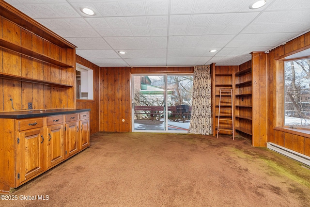 interior space with light carpet, built in features, and wooden walls