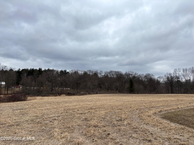 235 Mammoth Spring Rd, North Greenbush NY, 12144 land for sale