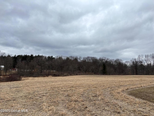 233 Mammoth Spring Rd, North Greenbush NY, 12144 land for sale