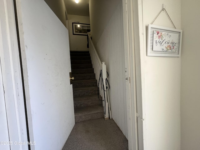 stairs with carpet