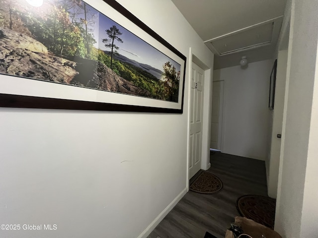 hall featuring baseboards and wood finished floors