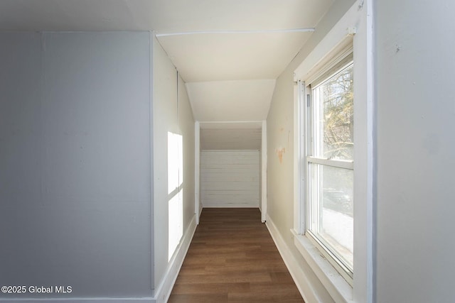 hallway featuring wood finished floors