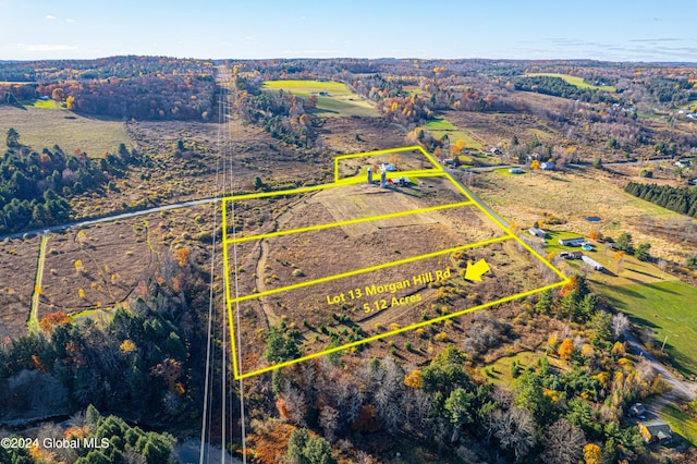 L13 Morgan Hill Rd, Afton NY, 13730 land for sale