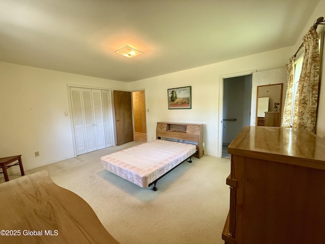 24 Regina Ln, Amsterdam, NY 12010 - bedroom featuring light colored carpet and a closet