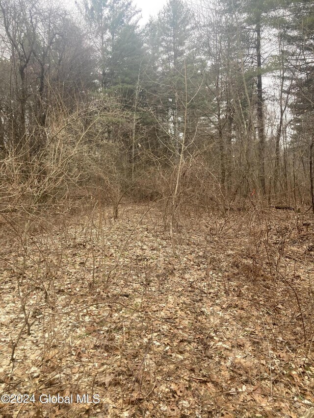 462 Malta Ave, Ballston Spa, NY 12020 - photo 6