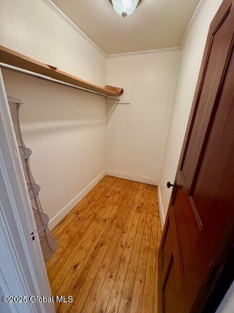 spacious closet featuring light wood-type flooring