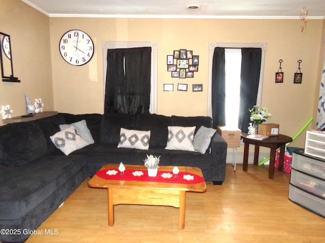 living area featuring ornamental molding and wood finished floors