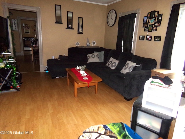 living area with ornamental molding and wood finished floors